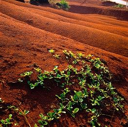 《风来的希炼6》新DLC后篇上线 新角色迷宫登场