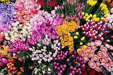 《勇者斗恶龙X 离线版》售前特别直播节目 将于9月11日播出