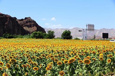 《FF7重生》野村哲也：想了27年 大家为何那么喜欢萨菲罗斯